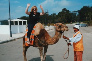 Processed with VSCO with c7 preset