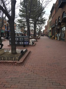 UNADJUSTEDNONRAW_thumb_1541