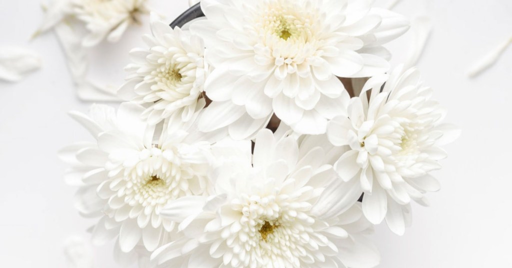 Life Isn’t Supposed to be&nbsp;Perfect